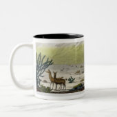 Mount Chimborazo, Ecuador, uit Le Costume Ancien Tweekleurige Koffiemok (Links)