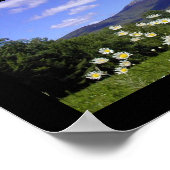 Mount Chocorua Poster (Hoek)