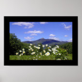 Mount Chocorua Poster (Voorkant)