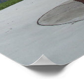 Mount Dora Florida Lighthouse Lake Marker Poster (Hoek)