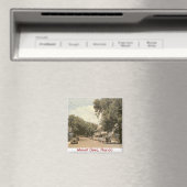 Mount Dora, Florida Magneet (Insitu (Vaatwasser))