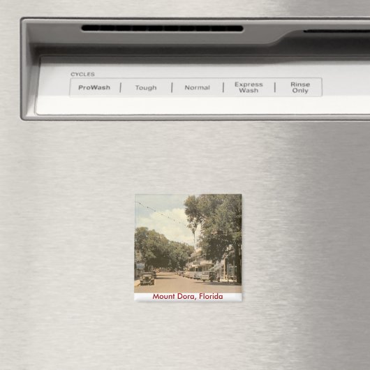 Mount Dora, Florida Magneet (Insitu (Vaatwasser))