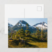 Mount Eccles bij Cordova, Alaska Briefkaart (Voorkant / Achterkant)