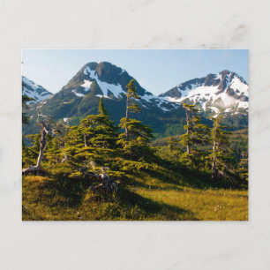 Mount Eccles bij Cordova, Alaska Briefkaart