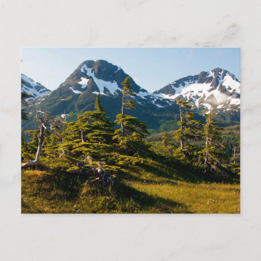 Mount Eccles bij Cordova, Alaska Briefkaart (Voorkant)