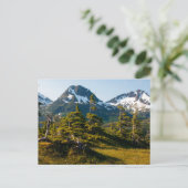 Mount Eccles bij Cordova, Alaska Briefkaart (Staand voorkant)