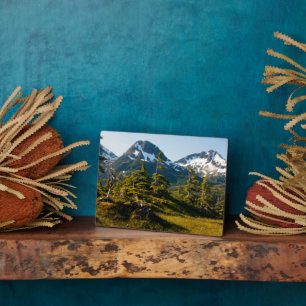 Mount Eccles bij Cordova, Alaska Fotoplaat