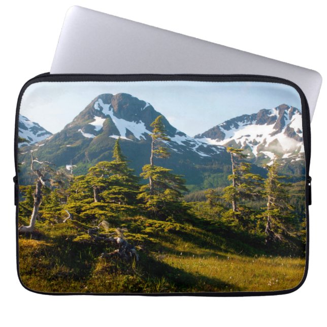 Mount Eccles bij Cordova, Alaska Laptop Sleeve (Voorkant)