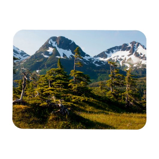 Mount Eccles bij Cordova, Alaska Magneet (Horizontaal)
