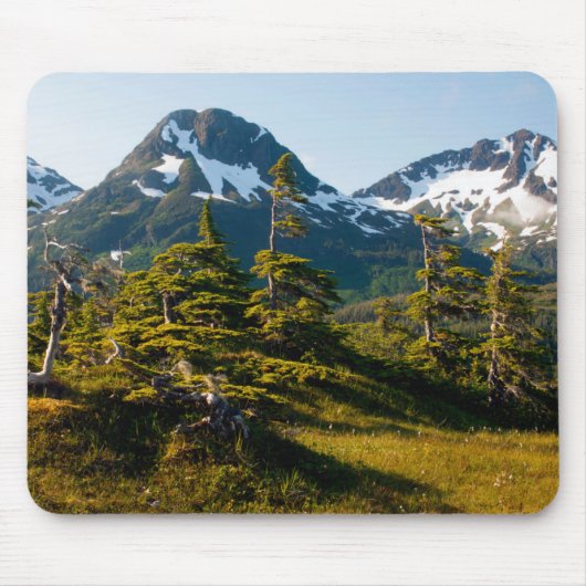 Mount Eccles bij Cordova, Alaska Muismat (Voorkant)