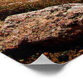 Mount Evans CO Poster (Hoek)