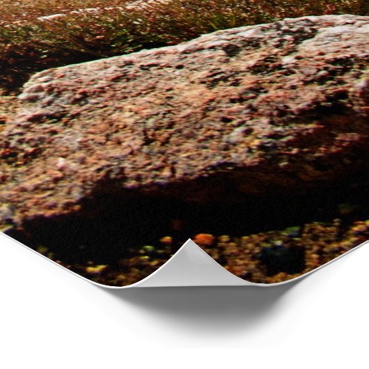 Mount Evans CO Poster (Hoek)