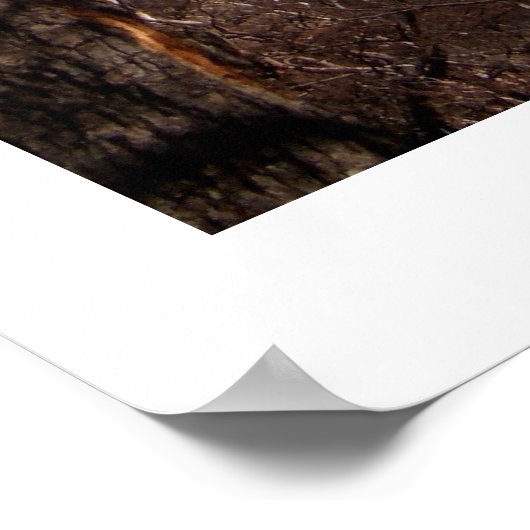 Mount Fitz Roy Patagonia Poster (Hoek)