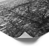 Mount Fuji Japans Schilderachtig Uitzicht Poster (Hoek)