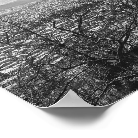 Mount Fuji Japans Schilderachtig Uitzicht Poster (Hoek)