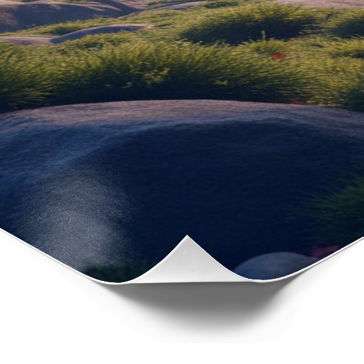 Mount Fuji landscape Perfect Poster (Hoek)