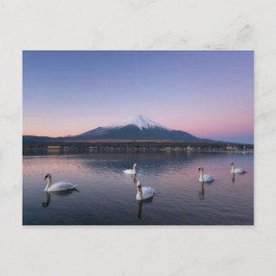 Mount Fuji   Yamanaka-meer met zwanen Briefkaart