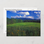 Mount Greylock van Meadow Williamstown Briefkaart (Voorkant / Achterkant)