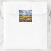 Mount Haggin NWR near Anaconda Montana Vierkante Sticker (Tas)