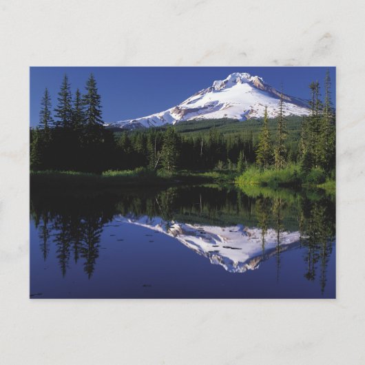 Mount Hood-Briefkaart Briefkaart (Voorkant)