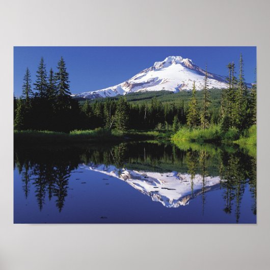 Mount Hood, Oregon Poster (Voorkant)
