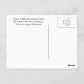 Mount Hood, Oregon Travel Photo Briefkaart (Achterkant)