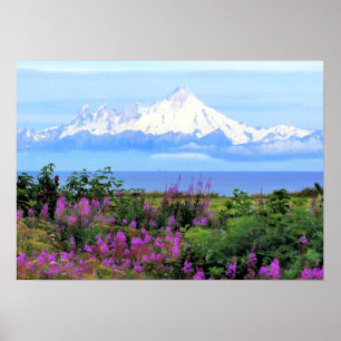 Mount Iliamna Alaska Poster