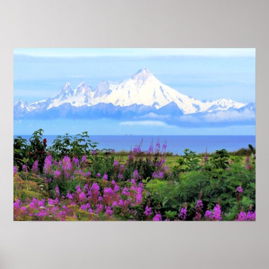 Mount Iliamna Alaska Poster (Voorkant)