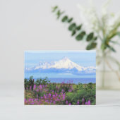 Mount Iliamna in Alaska Briefkaart (Staand voorkant)