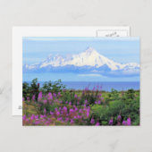 Mount Iliamna in Alaska Briefkaart (Voorkant / Achterkant)