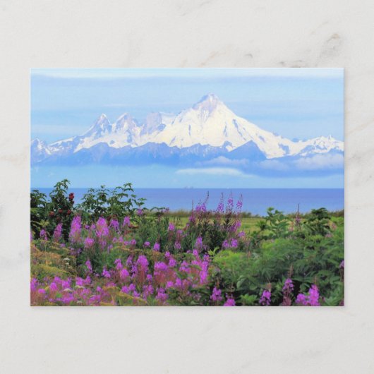 Mount Iliamna in Alaska Briefkaart (Voorkant)