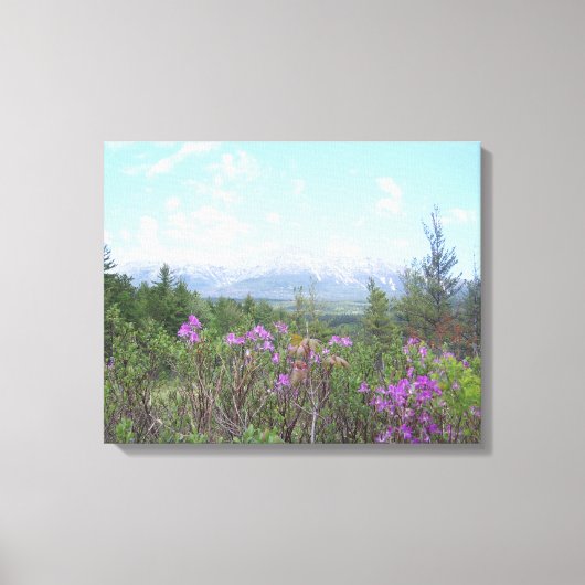 Mount Katahdin en wilde bloemen Canvas Afdruk (Voorkant)