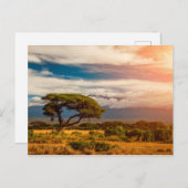 Mount Kilimanjaro | Amboseli, Kenia Briefkaart (Voorkant / Achterkant)