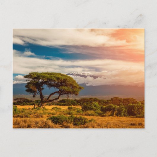 Mount Kilimanjaro | Amboseli, Kenia Briefkaart (Voorkant)