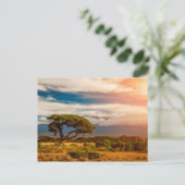 Mount Kilimanjaro | Amboseli, Kenia Briefkaart (Staand voorkant)