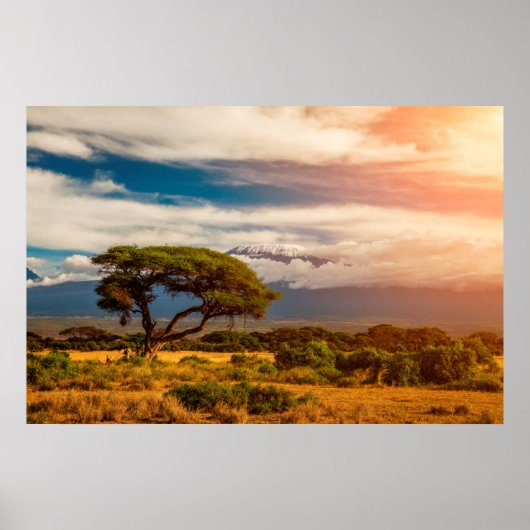 Mount Kilimanjaro | Amboseli, Kenia Poster (Voorkant)