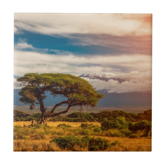 Mount Kilimanjaro | Amboseli, Kenia Tegeltje (Voorkant)