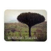Mount Kilimanjaro, Candelabra Tree Magneet (Horizontaal)