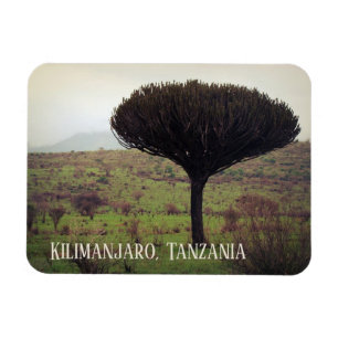 Mount Kilimanjaro, Candelabra Tree Magneet