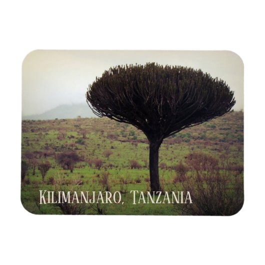 Mount Kilimanjaro, Candelabra Tree Magneet (Horizontaal)