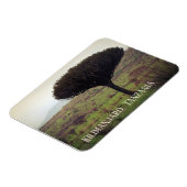 Mount Kilimanjaro, Candelabra Tree Magneet (Linkerzijde)