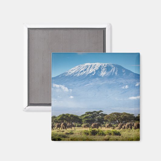 Mount Kilimanjaro Magneet (Voorkant / Achterkant)