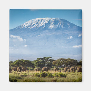 Mount Kilimanjaro Magneet