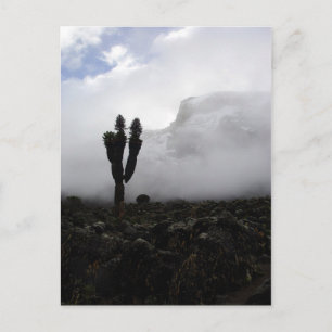 Mount Kilimanjaro (portret) Briefkaart