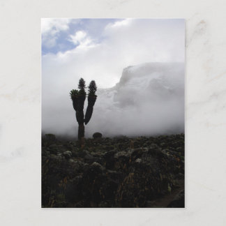 Mount Kilimanjaro (portret) Briefkaart