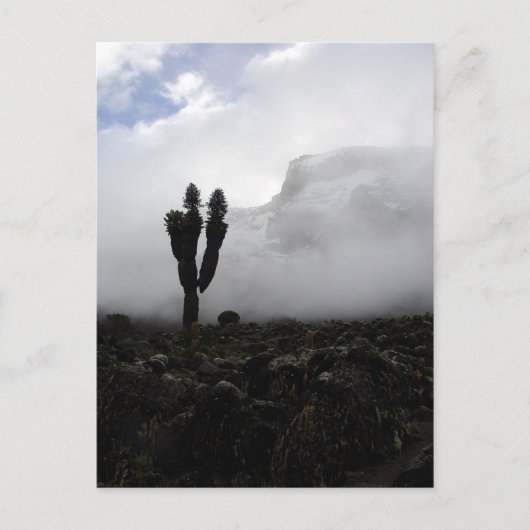 Mount Kilimanjaro (portret) Briefkaart (Voorkant)