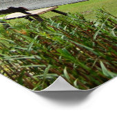 Mount Kinabalu Mountain en Borneo Oerwoud Poster (Hoek)