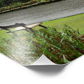 Mount Kinabalu Mountain en Oerwoud Borneo Foto Afdruk (Hoek)