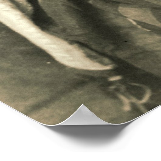 Mount Libanese Druse Bride 1910 Poster (Hoek)