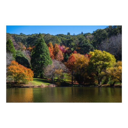Mount Lofty Botanische Tuinen Mooie Herfst Foto Afdruk (Voorkant)